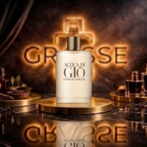 Acqua di Giò Giorgio Armani Eau De Toilette 100ml